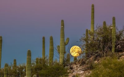 ¡Está en México! el lugar más caliente de la tierra.