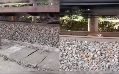 Cachorro ‘’SE QUEDA DORMIDO Y EL TREN PASA ENCIMA DE EL’’ sin hacerle daño.