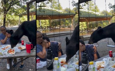 Que nervios, con este »oso» se les fue el hambre.