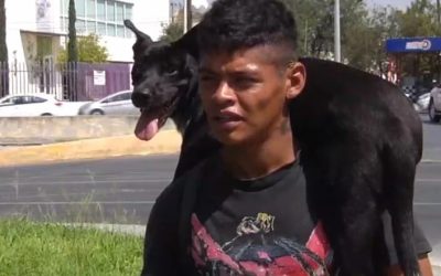 Migrante colombiano cruzo 12 piases acompañado de su cachorro pero tuvo que despedirse de el en México.