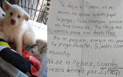 Niño deja a su perrito en albergue para que su papá no le pegue; «le dejo mis ahorros para sus tortillas»