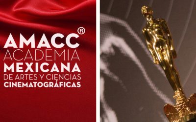 Conoce a los nominados a los Premios Ariel 2024.