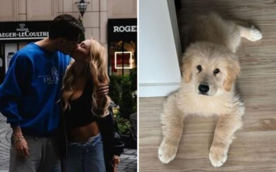 ¡Ex de Peso Pluma confirma infidelidad y le pide que le regrese a su perro!