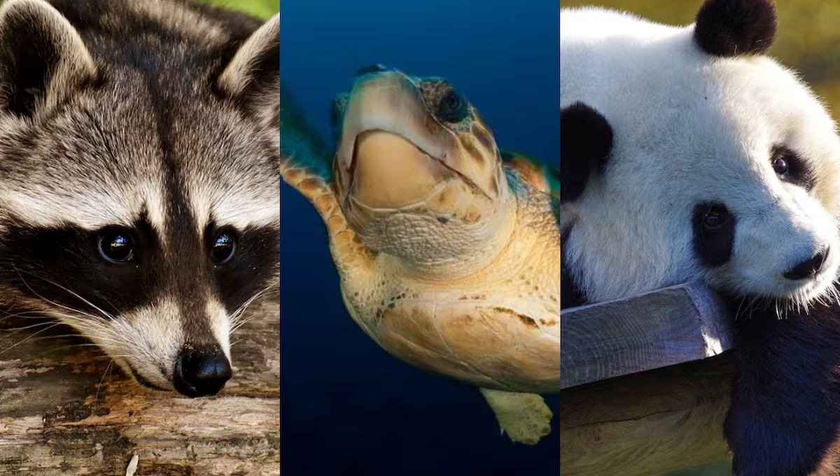 YETXHXLP35C5XCMJGX3ER4FV3Y