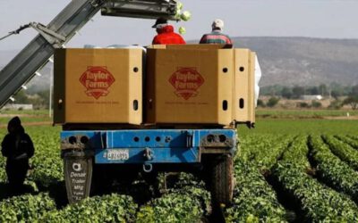 Cofepris avala condiciones sanitarias en planta de Taylor Farms México